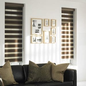 Zebra Blinds